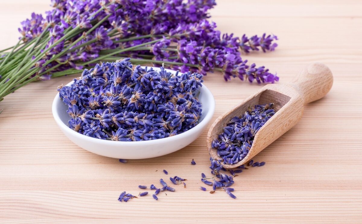 Ci serviranno dei mazzetti di lavanda essiccata-proiezionidiborsa.it