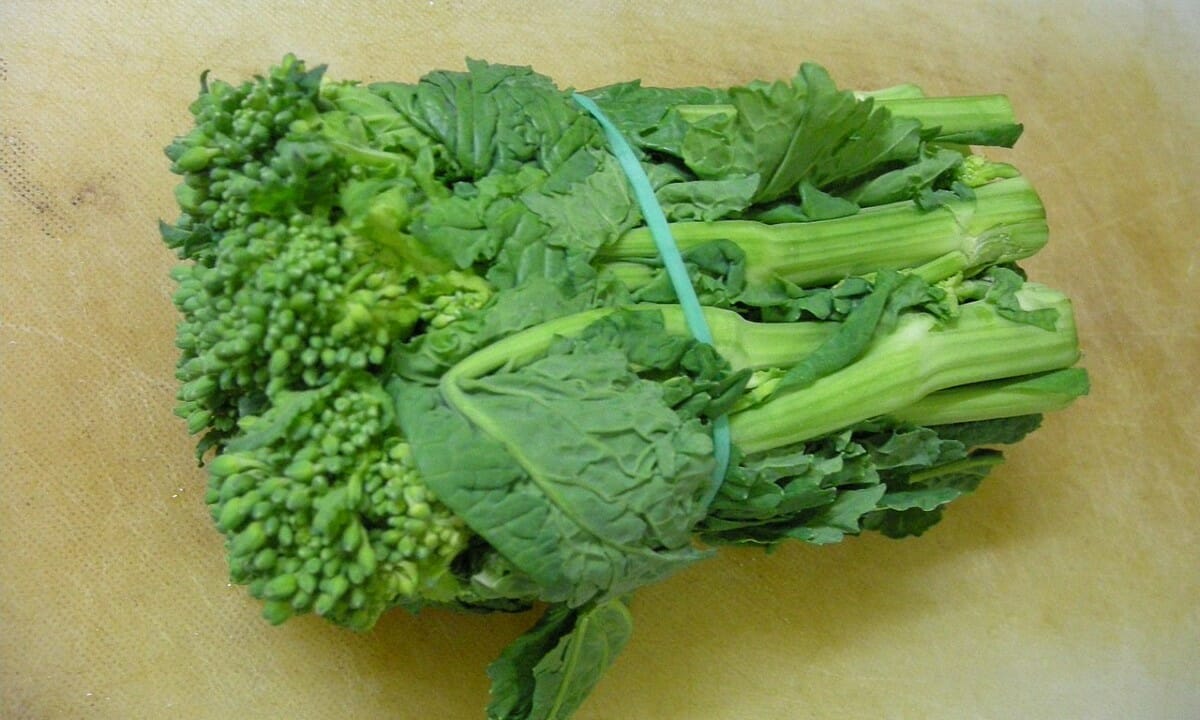 Cime di rapa