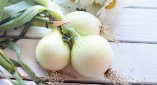 Come cucinare le cipolle