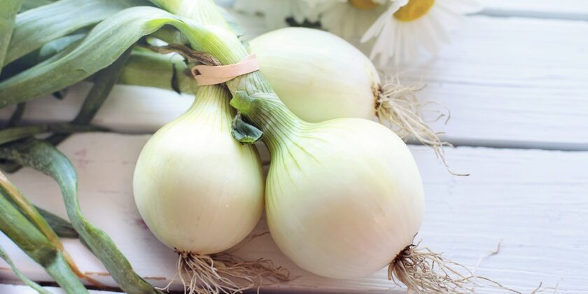 Come cucinare le cipolle
