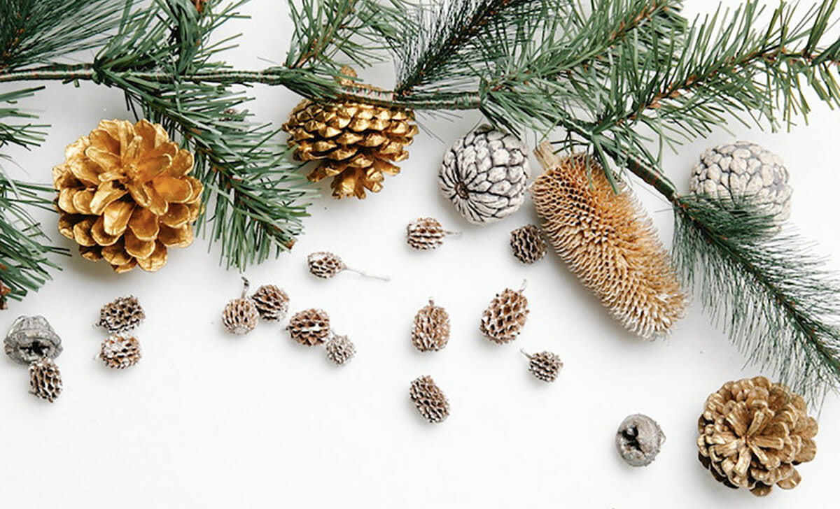 Cominciamo dallo scegliere tra abete vero o albero sintetico