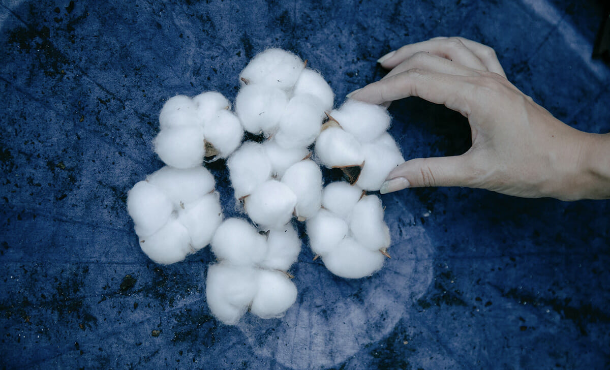 Componiamo la nostra ghirlanda alternando pigne e fiori di cotone
