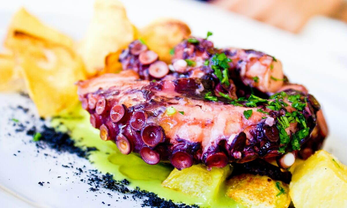 Con il polpo possiamo fare diverse ricette