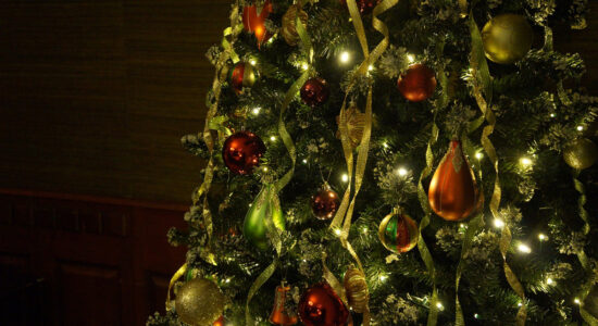 Cosa bisogna fare dell’abete di Natale dopo le feste?