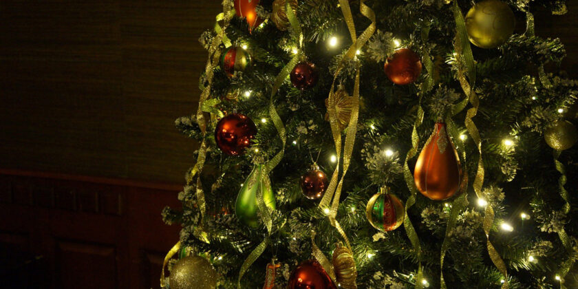 Cosa bisogna fare dell’abete di Natale dopo le feste?