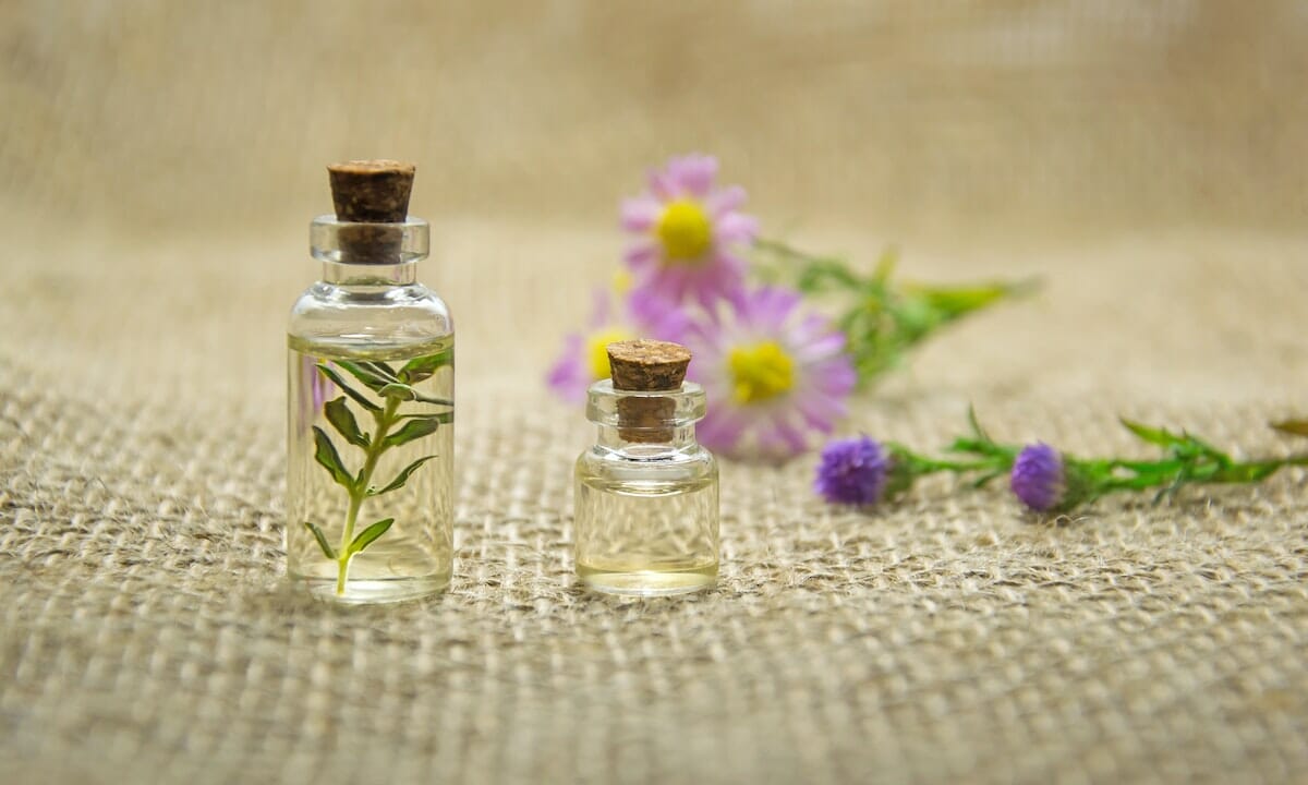 Da questa pianta potremmo ottenere l’olio essenziale