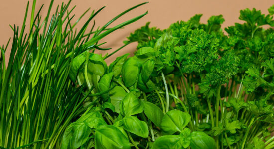Davvero interessanti sono le proprietà di alcune piante da usare in cucina