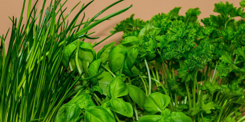 Davvero interessanti sono le proprietà di alcune piante da usare in cucina
