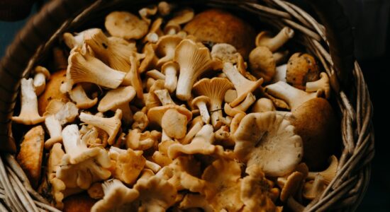 Dimagrire con la dieta dei funghi