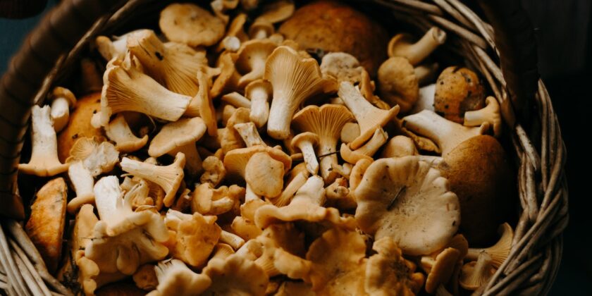 Dimagrire con la dieta dei funghi