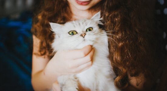È incredibile il motivo per cui il gatto lecca