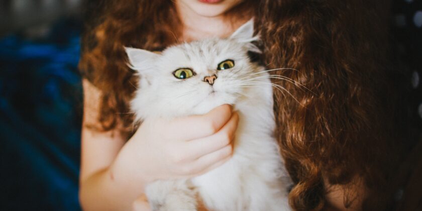 È incredibile il motivo per cui il gatto lecca