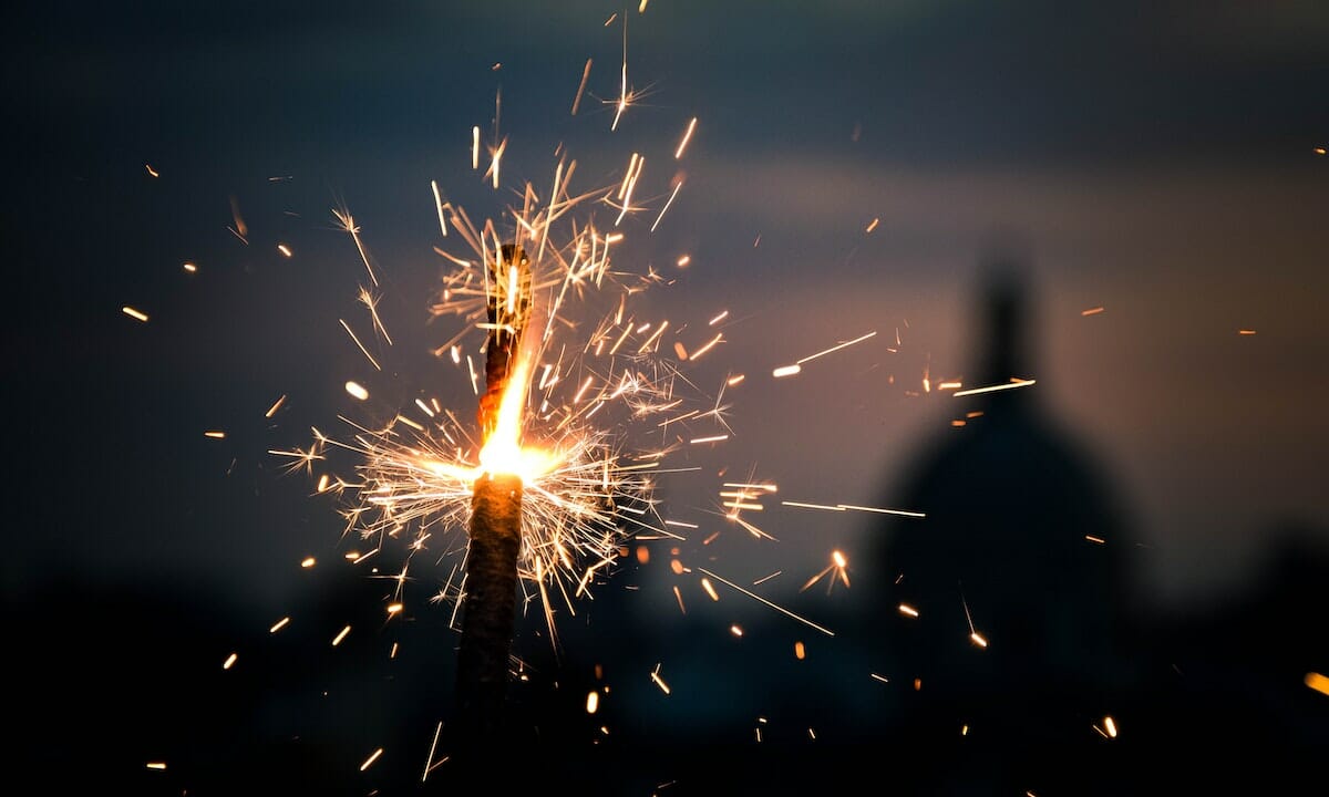 I botti di Capodanno spaventano molto i cani