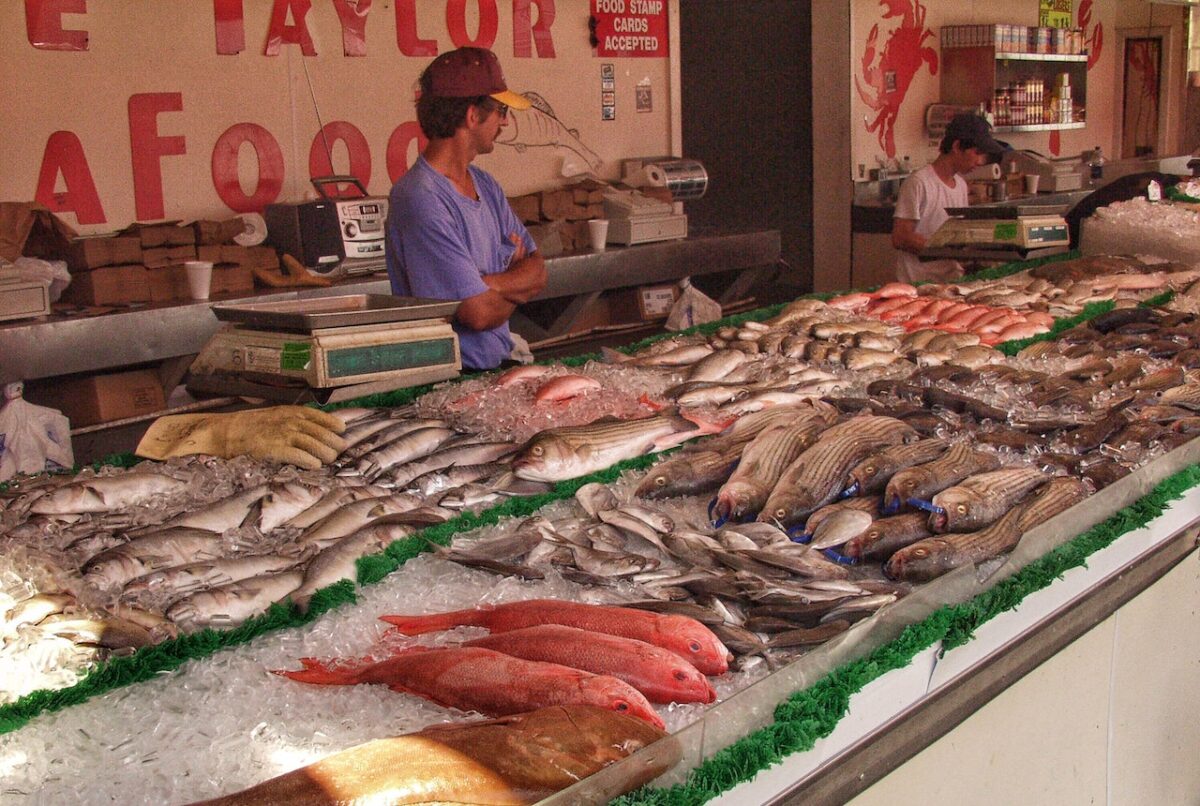 Il baccalà viene trattato con il sale, lo stoccafisso viene essiccato-proiezionidiborsa.it