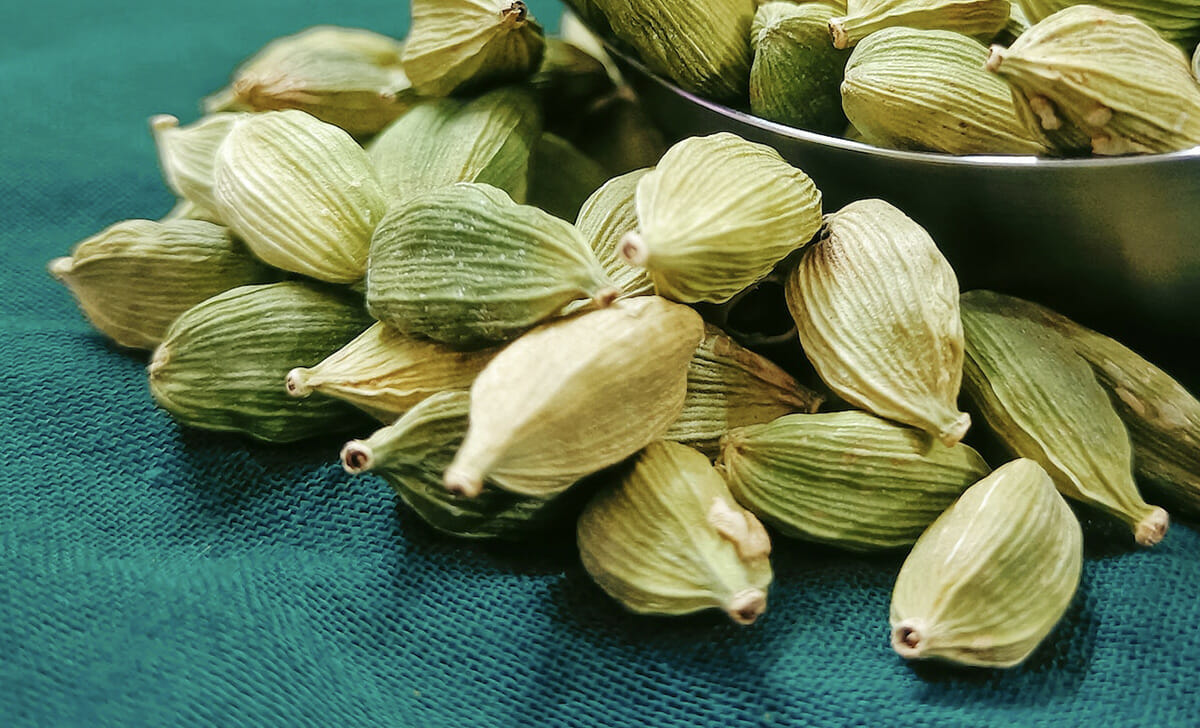 Il cardamomo appartiene alla stessa famiglia dello zenzero