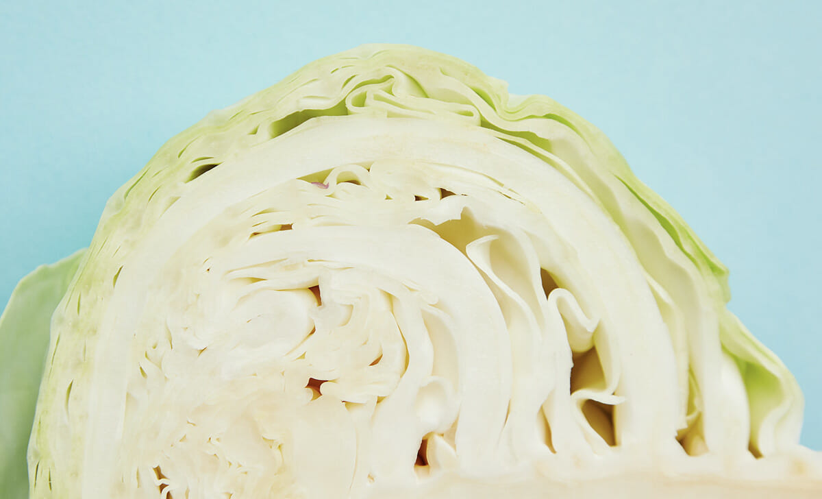 Il cavolo cappuccio bianco è il protagonista di questo antipasto sfizioso