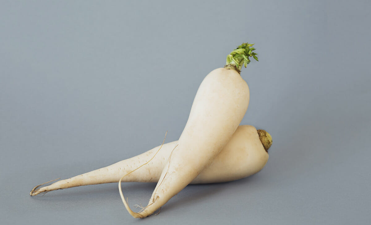Il daikon è una radice che ricorda la carota