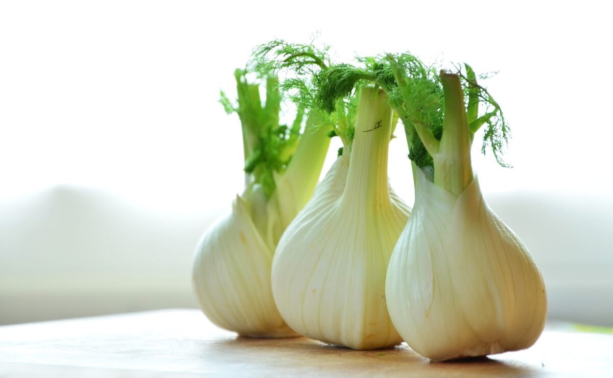 Il finocchio è ricco di sali minerali e vitamine-proiezionidiborsa.it