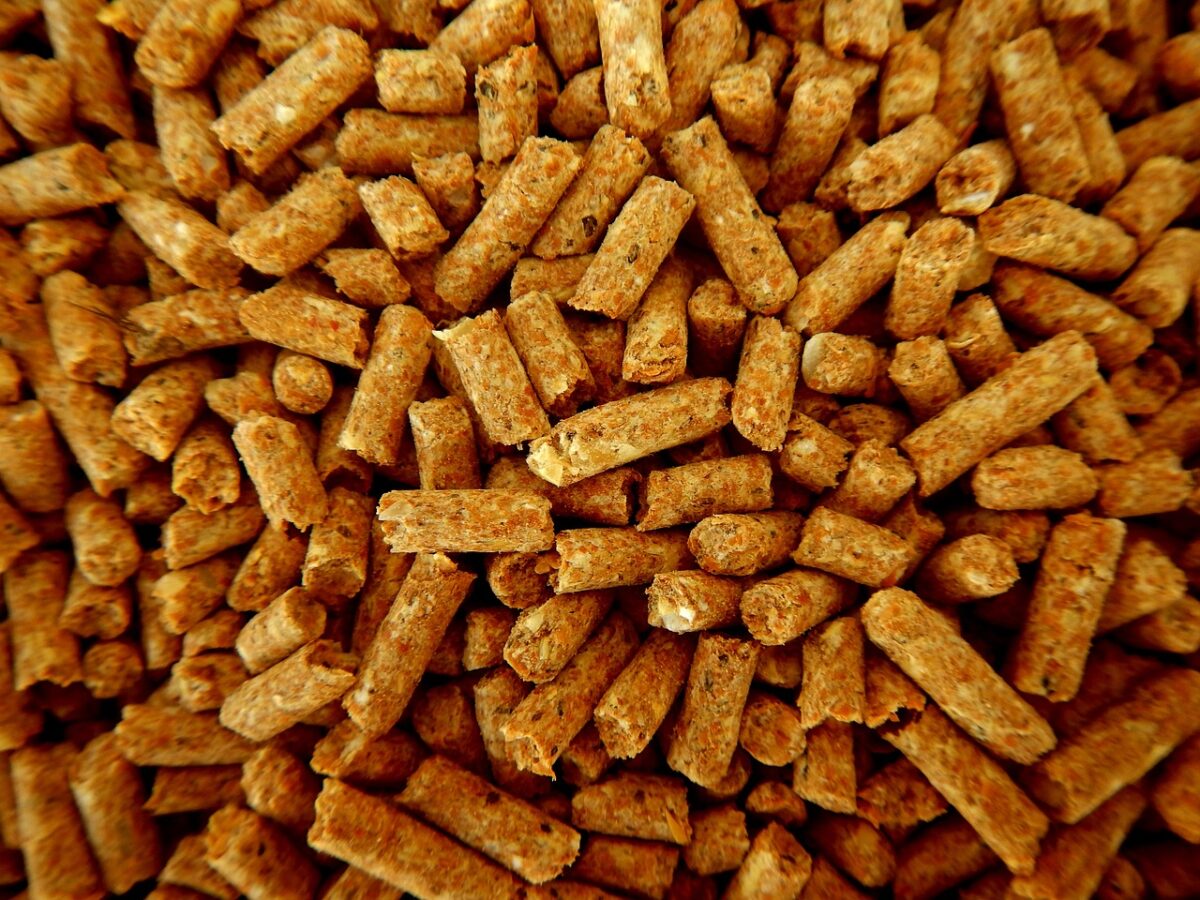 Il prezzo del pellet quasi triplicato-proiezionidiborsa.it