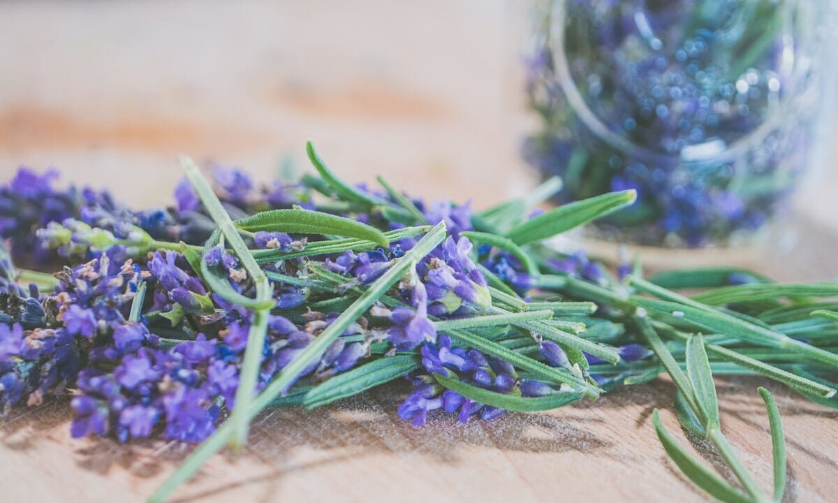 La lavanda sarebbe perfetta per abbellire la tavola delle feste