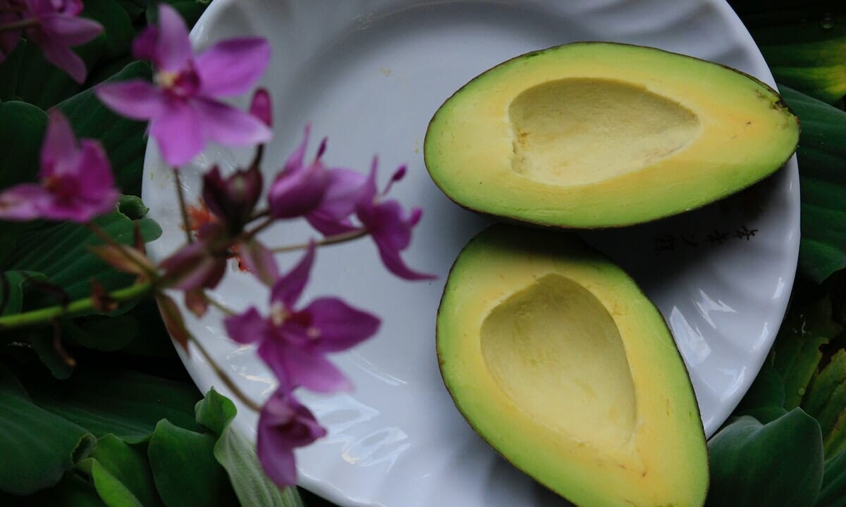 L'avocado ha alte concentrazioni di vitamina B6