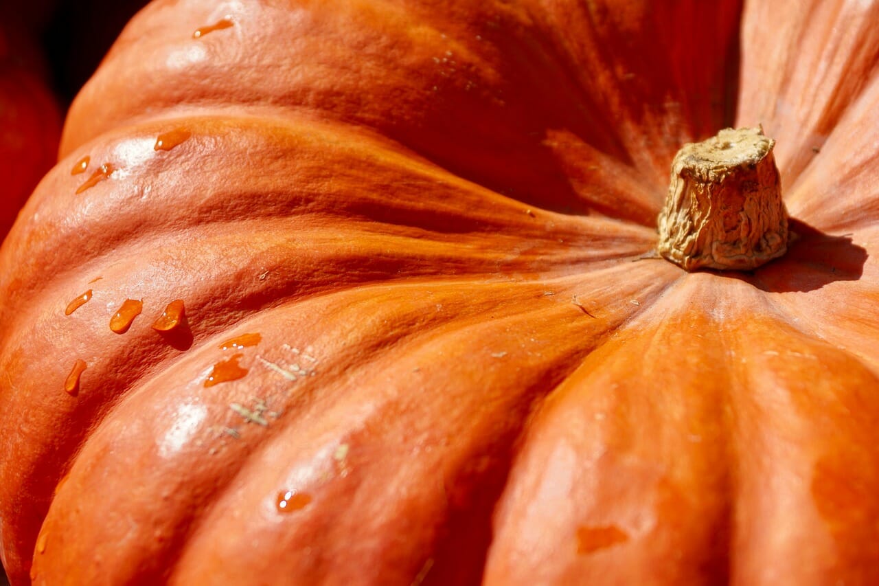 Le cotolette di zucca piaceranno anche a chi non ama quest'ortaggio