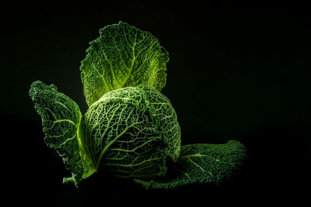 Le foglie del cavolo nero devono essere verdi e turgide