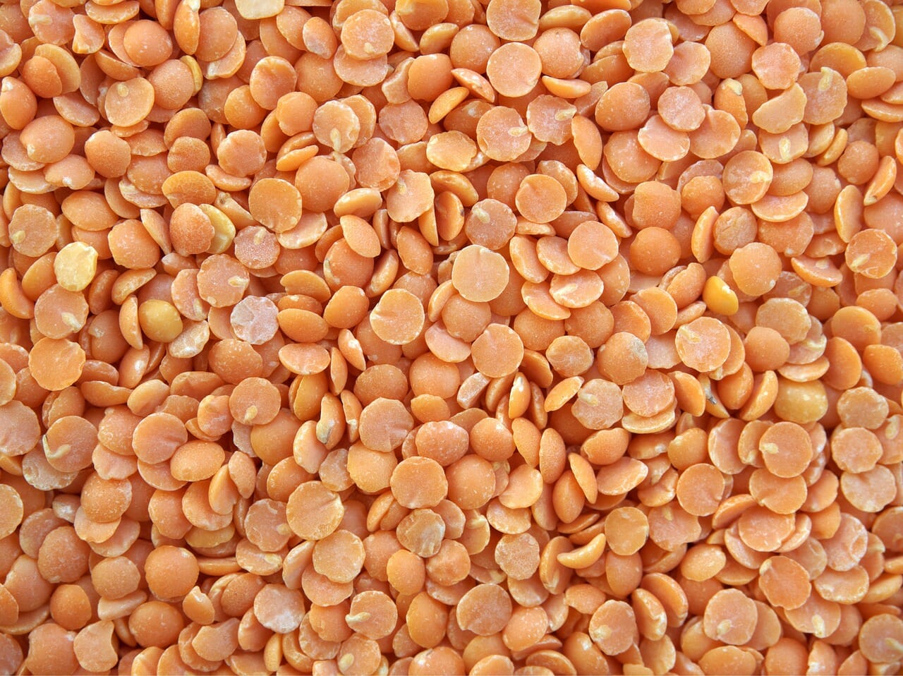 Le lenticchie ricordano delle piccole monete