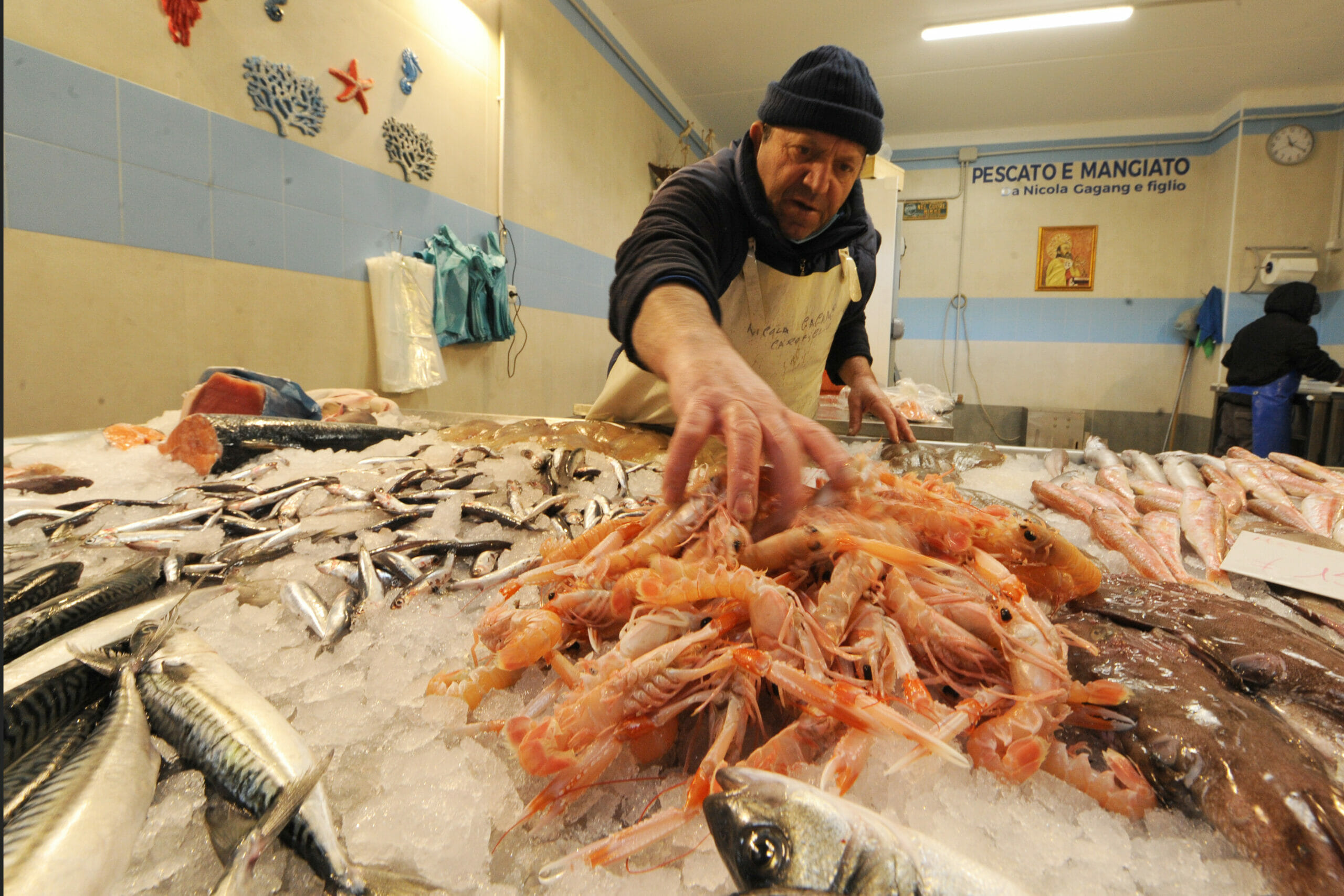 Nel brodetto ci devono essere almeno 7 diversi tipi di pesce