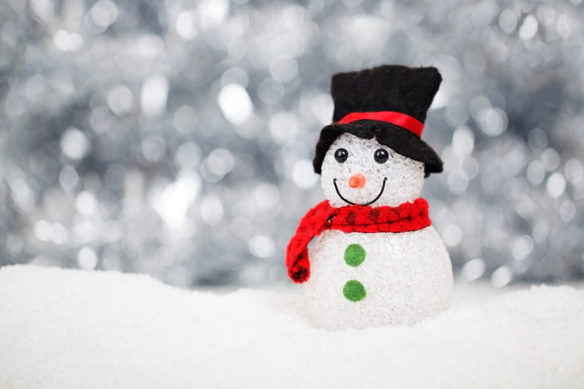 Ormai manca pochissimo alle tanto amate vacanze di Natale che tutti aspettiamo con trepidazione.