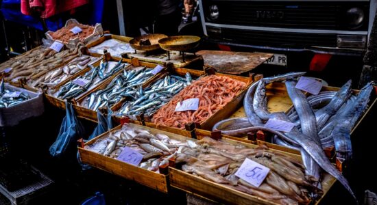 Pesci gustosi da mangiare