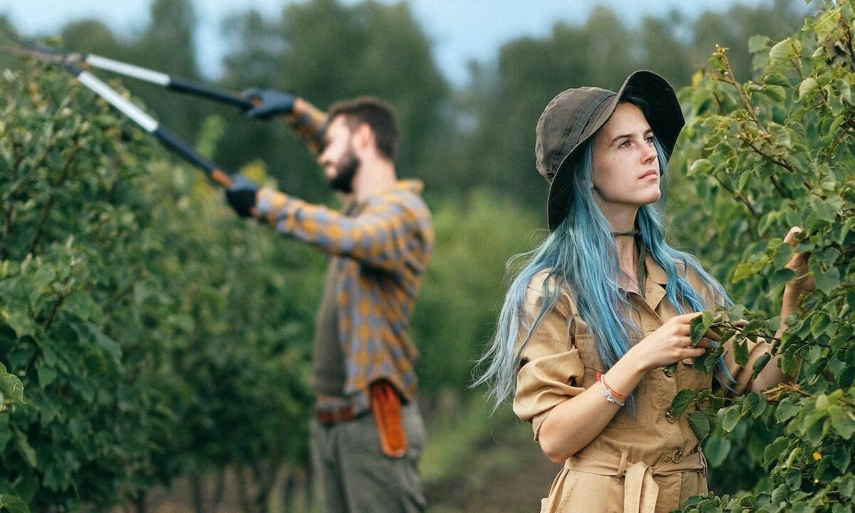 Possono richiedere l'indennità sia lavoratori dipendenti che piccoli coltivatori diretti
