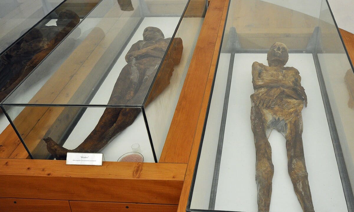 Potremo vedere delle autentiche mummie