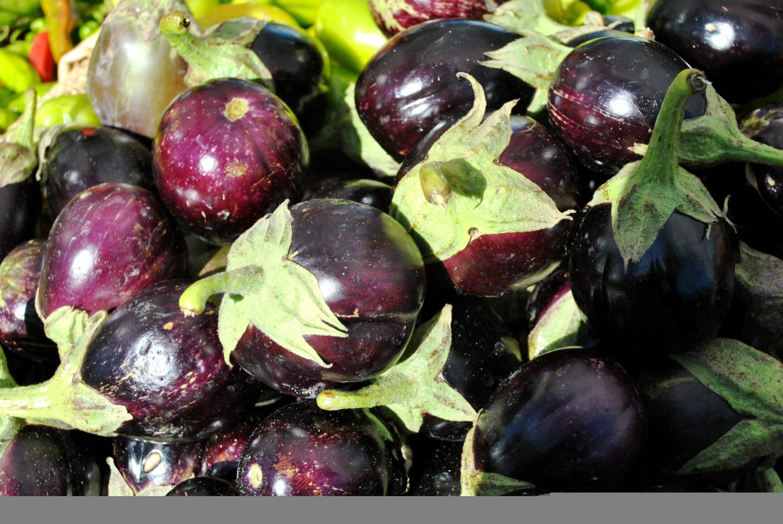 Prima di tutto laviamo e puliamo le melanzane, togliamo la parte superiore e incidiamole con una croce
