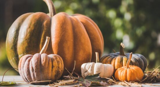 Primo piatto con zucca al forno-proiezionidiborsa.it