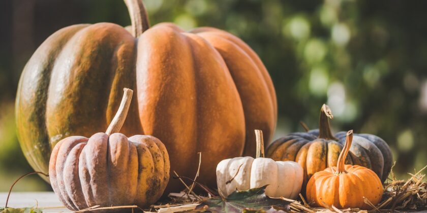 Primo piatto con zucca al forno-proiezionidiborsa.it