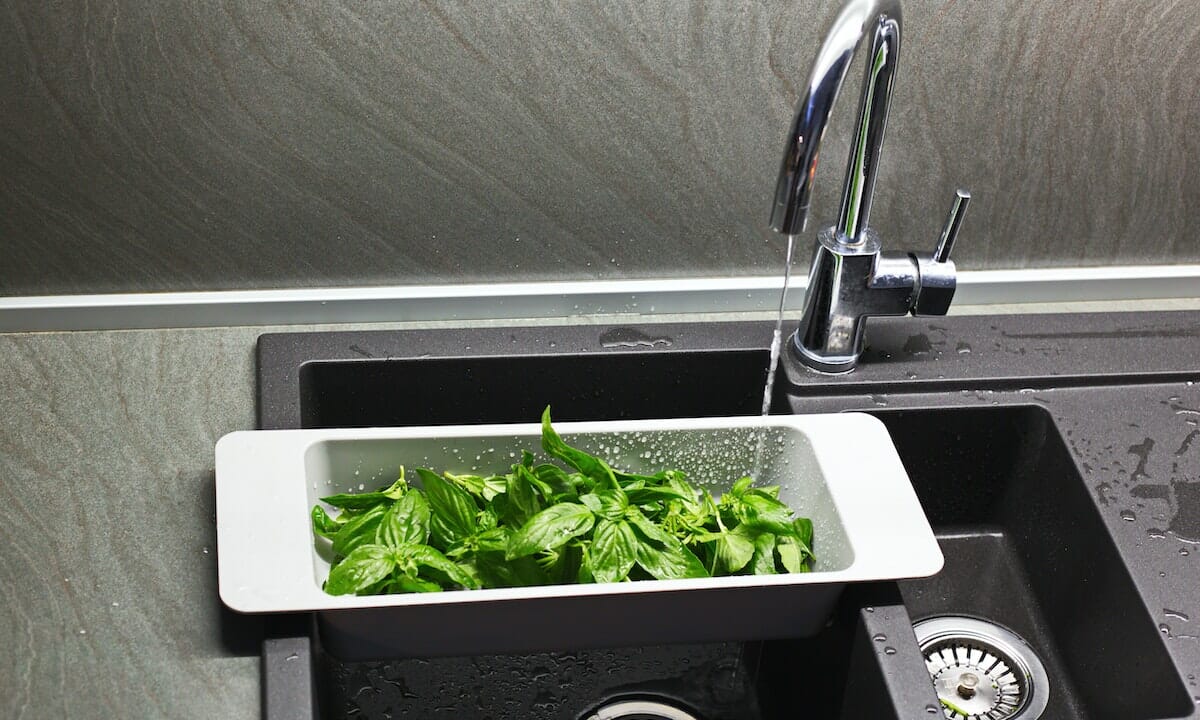 Quanti usano lavare il basilico sotto l’acqua