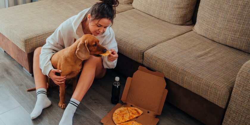 Se il cane vomita potrebbe essere per questo alimento