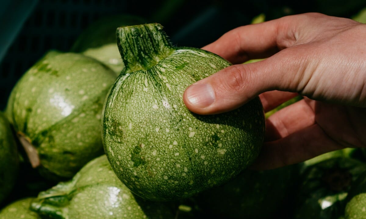 Serviranno le zucchine tonde
