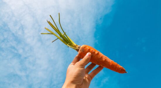 Spiegato il perché bisognerebbe mangiare tante carote