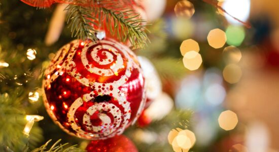 Straordinarie sorprese sotto l’albero