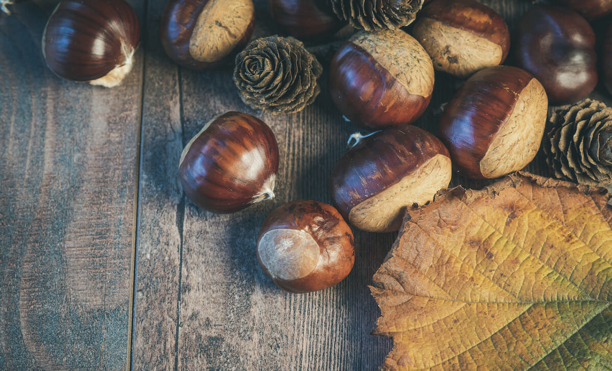 Tra i prodotti tipici di Castiglione di Garfagnana si ricordano le castagne