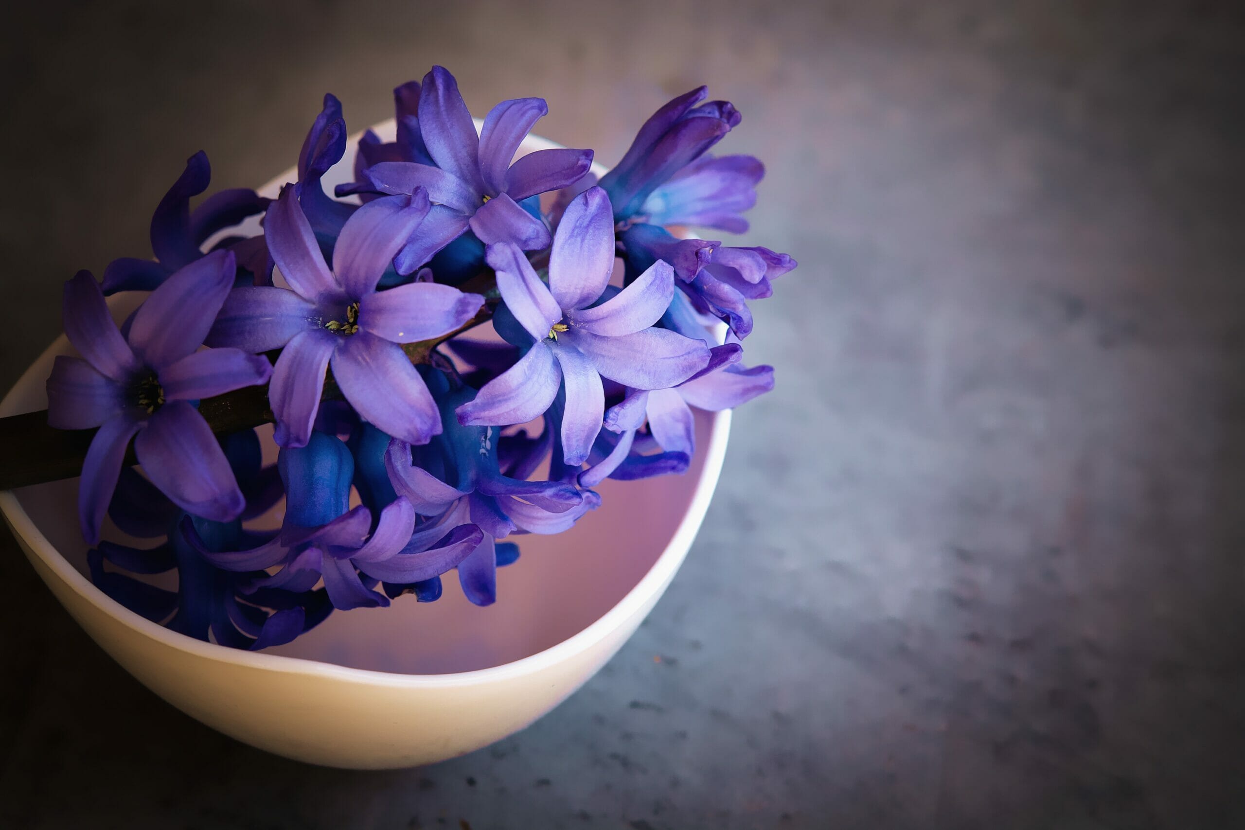 Tra le varie proprietà delle viole ci sono anche quelle di essere astringenti e detergenti