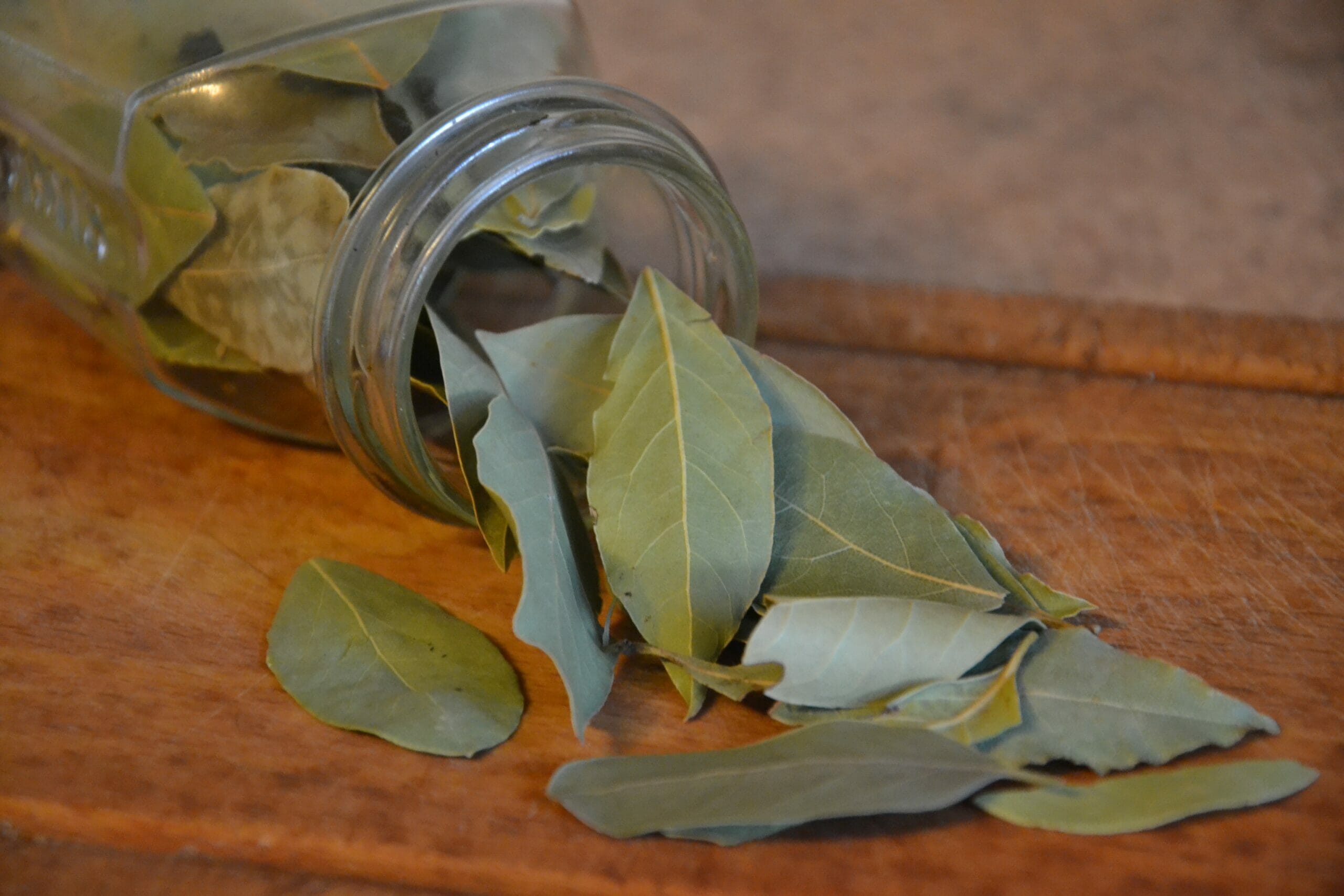 Un cucchiaino di foglie secche, aggiunto nei pasti o nelle tisane, apportano pochissime calorie e contengono vitamine A, C, B6, calcio, potassio, fosforo e magnesio.