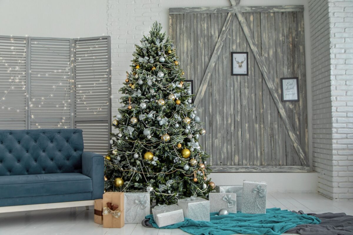 Una tipologia di video molto in voga ritrae famiglie che addobbano la casa e l’albero di Natale-proiezionidiborsa.it
