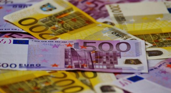 Uno dei lavori più belli e rilassanti del Mondo offre 30.00 euro l'anno-proiezionidiborsa.it