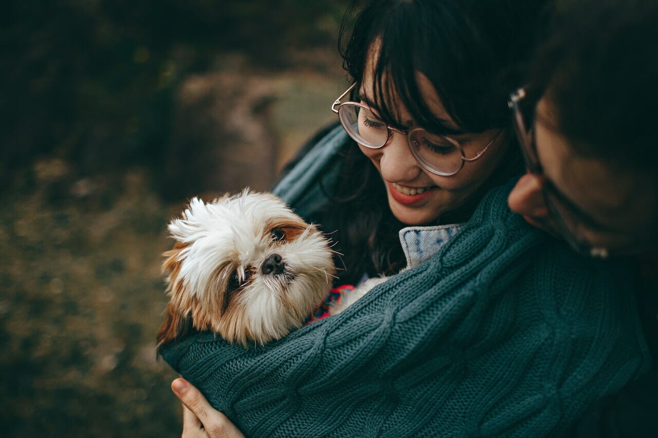 accogliere un cagnolino nella nostra vita