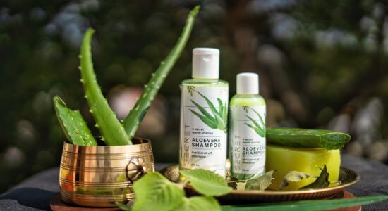 aloe vera