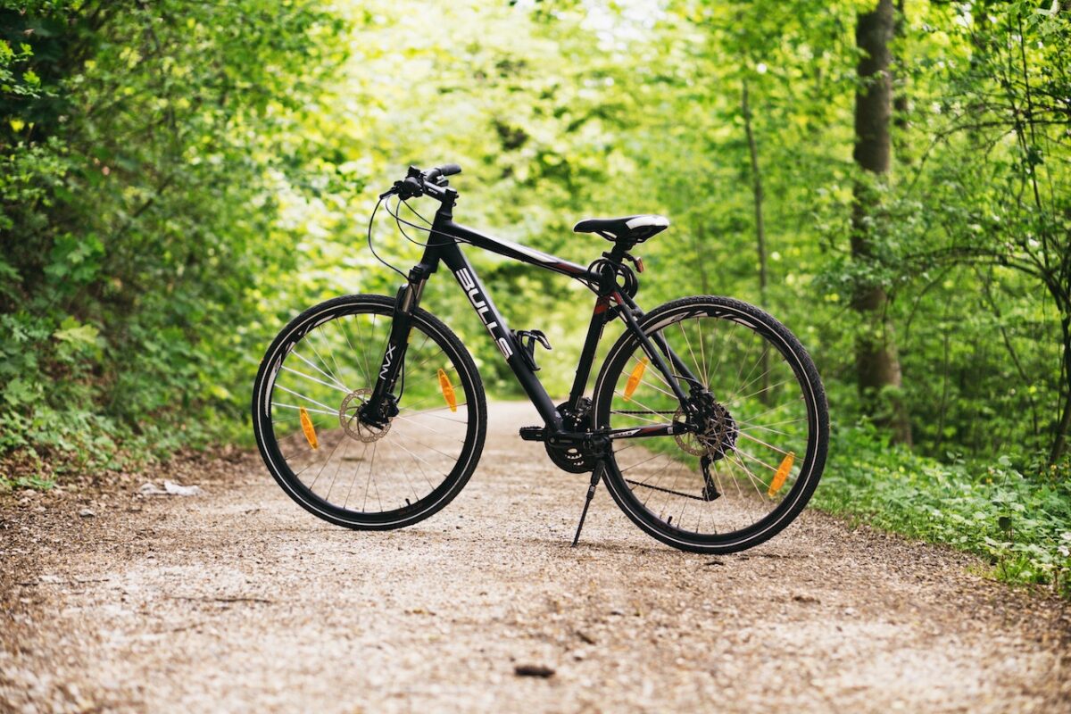 andare in bicicletta