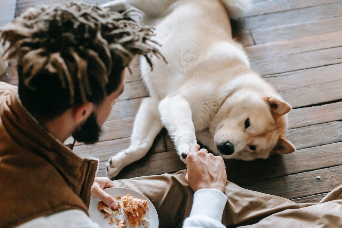 Attenzione a cosa gli animali mangiano